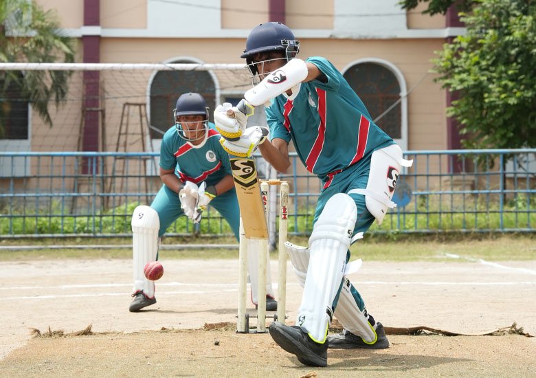 Cricket at Springfields